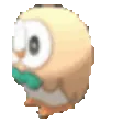 rowletspin