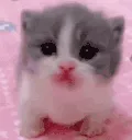 Scared