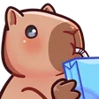 capysip