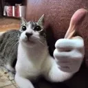 okaybro