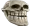 1254trollskull