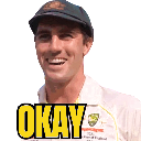 okay Discord sticker from Cricketive