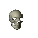 skull_spin