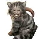 whoopiecheshire