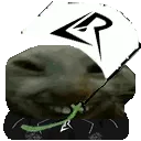 LRcheer LRcheer