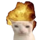 cat_explode Discord emoji