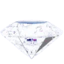 <a:white_diamond:1353085591566422017>
