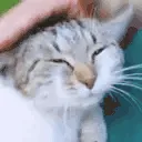ManyPats