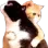 huggy