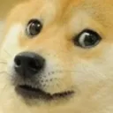 dogeawk