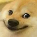 dogesmile