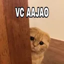 emoji_62 emoji_62