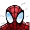 peterspideysense