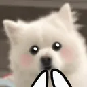__