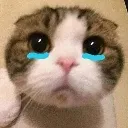 Au_nooo