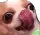 John
