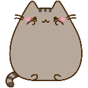 pusheenshy