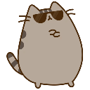 pusheenswag