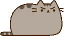 pusheenangry