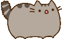 pusheensilly