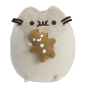 pusheenplush