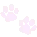 paw