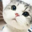 stare