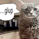 gulp