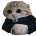 baseg