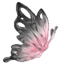 1pinkblack_rightbutterfly