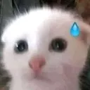 emoji_14