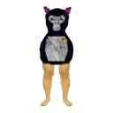 pp