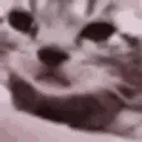 crycat
