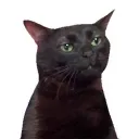 emoji_3
