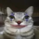 clowncat
