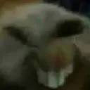 xd