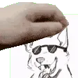 Petthehusky