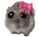 imjustagirl