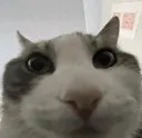 whatpoursbro whatpoursbro