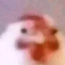lowres_chimkin_bruh lowres_chimkin_bruh
