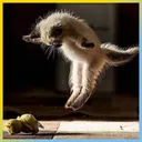 Leaping_car
