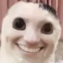 teehee_cau teehee_cau