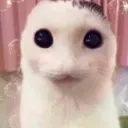 cute