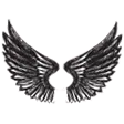 wings