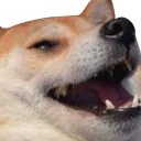 ayyy