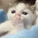 OMG