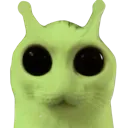 glorpstare