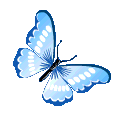 ButterflySZ