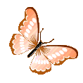 ButterflySZ