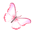 ButterflySZ